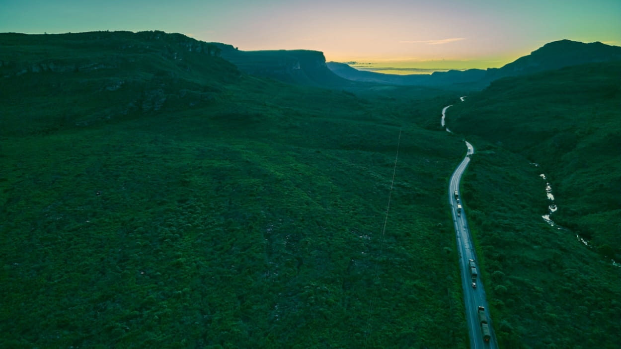 A road cutting through dense forest
